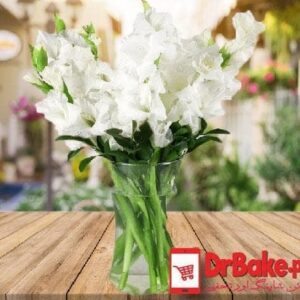 12 Fresh White Glad Vase