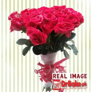 24 Fresh Red Roses Stems