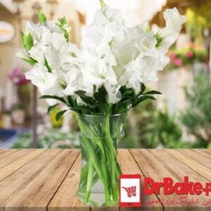 24 Fresh White Glad Vase- Limited Cities