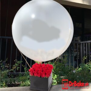24 Fresh Red Roses Balloon Box