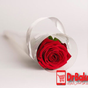 Imported Single Stem in Cone Packing